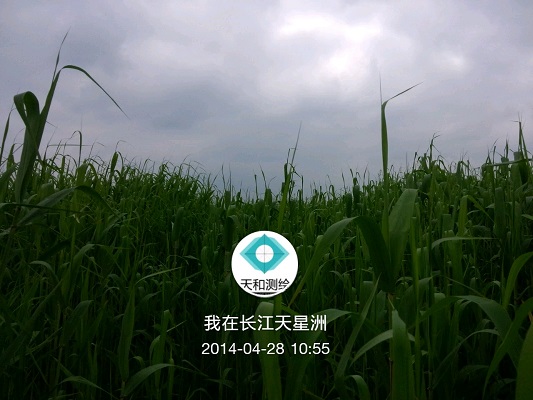香港3158中特致富网